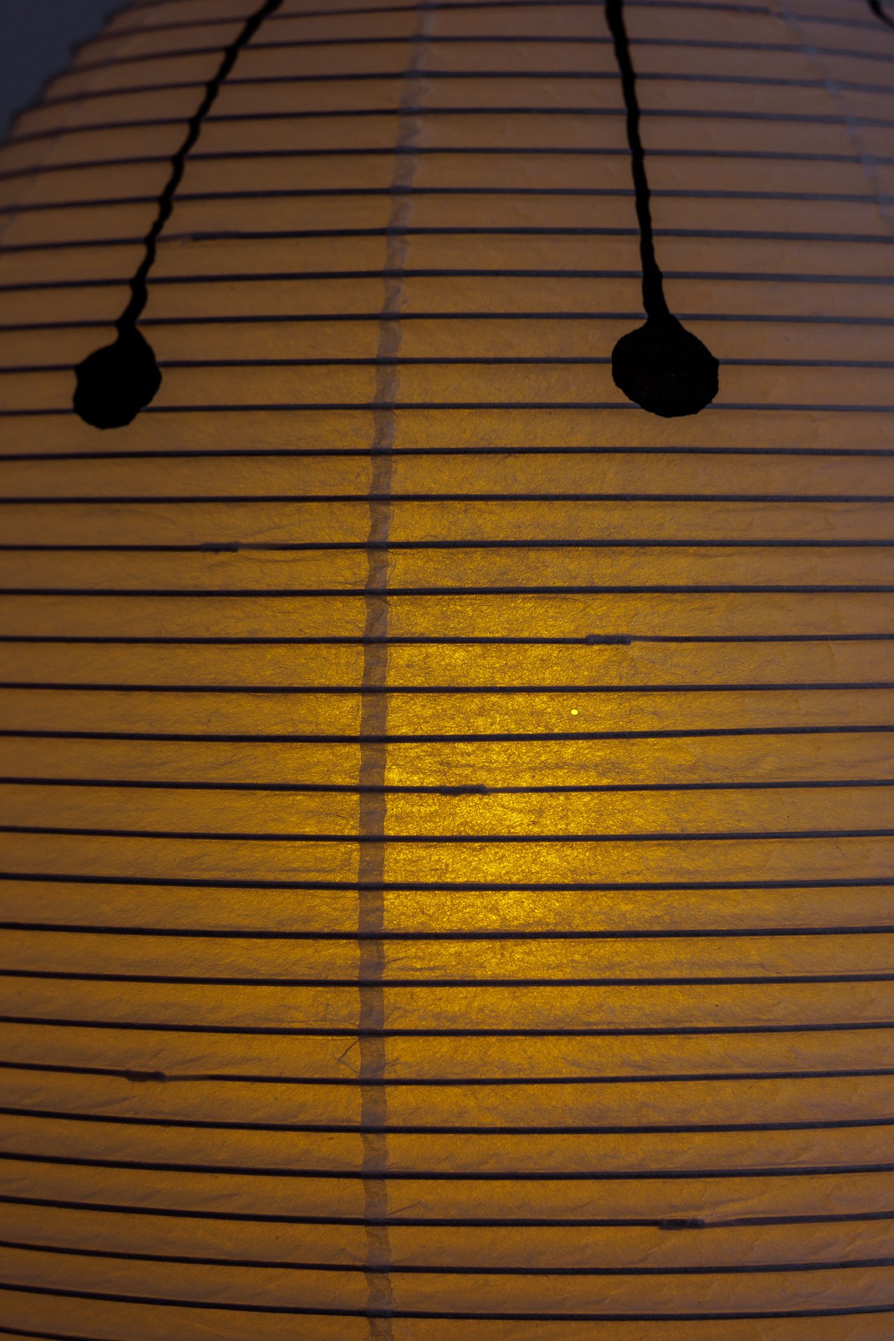 Michael Ray-Von: Interference Pattern