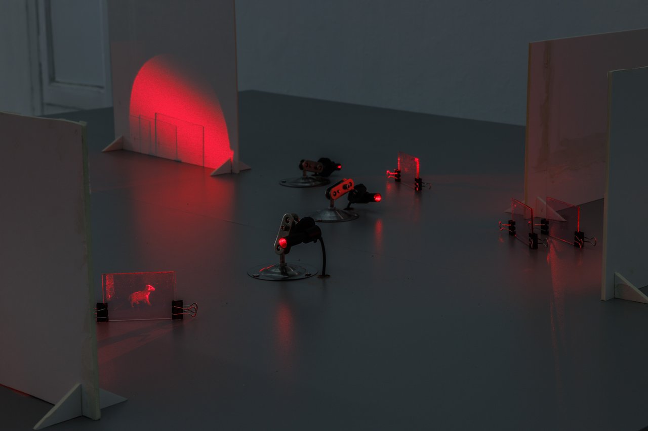 Michael Ray-Von: Interference Pattern