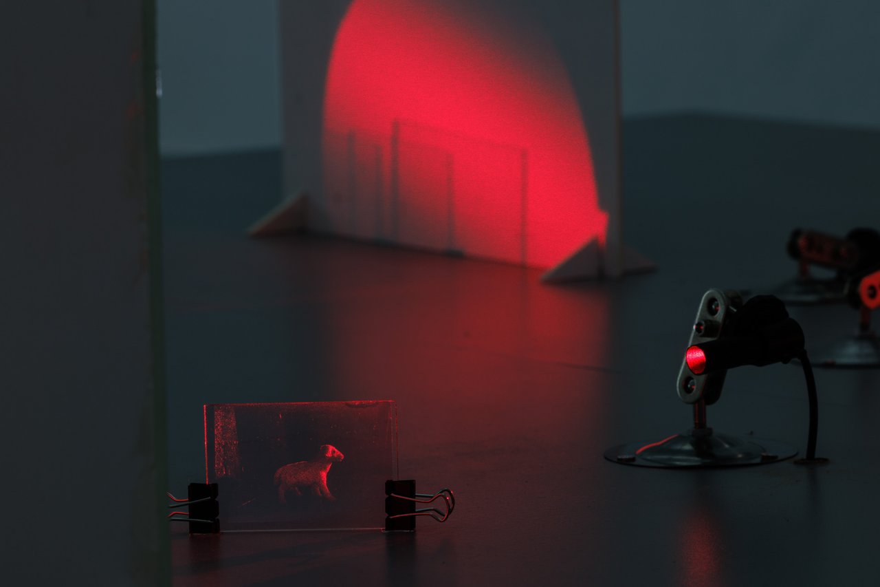 Michael Ray-Von: Interference Pattern