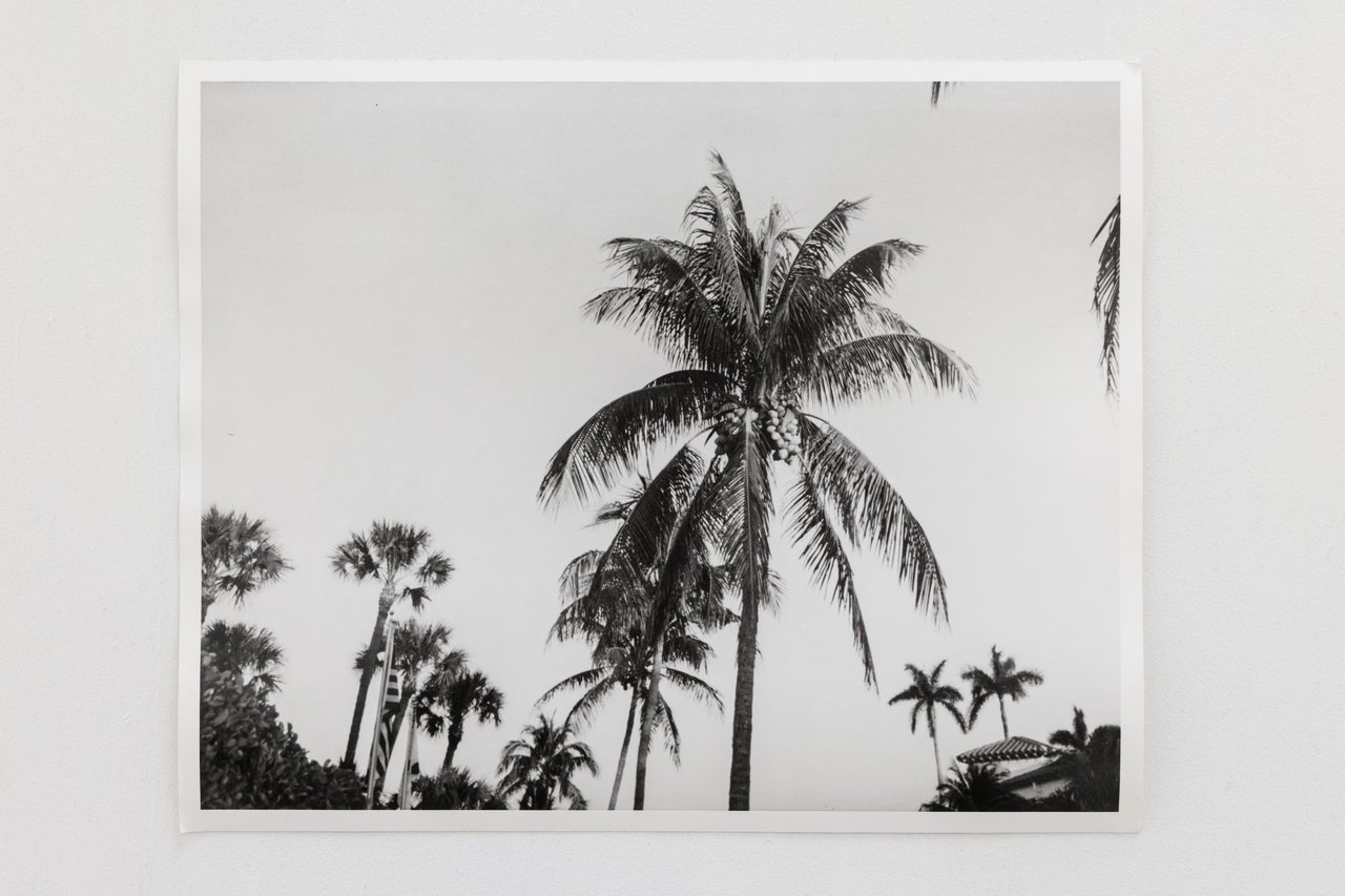 Tom Burr: Palm Beach Picture, 1999/2000