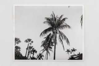 Tom Burr: Palm Beach Picture, 1999/2000