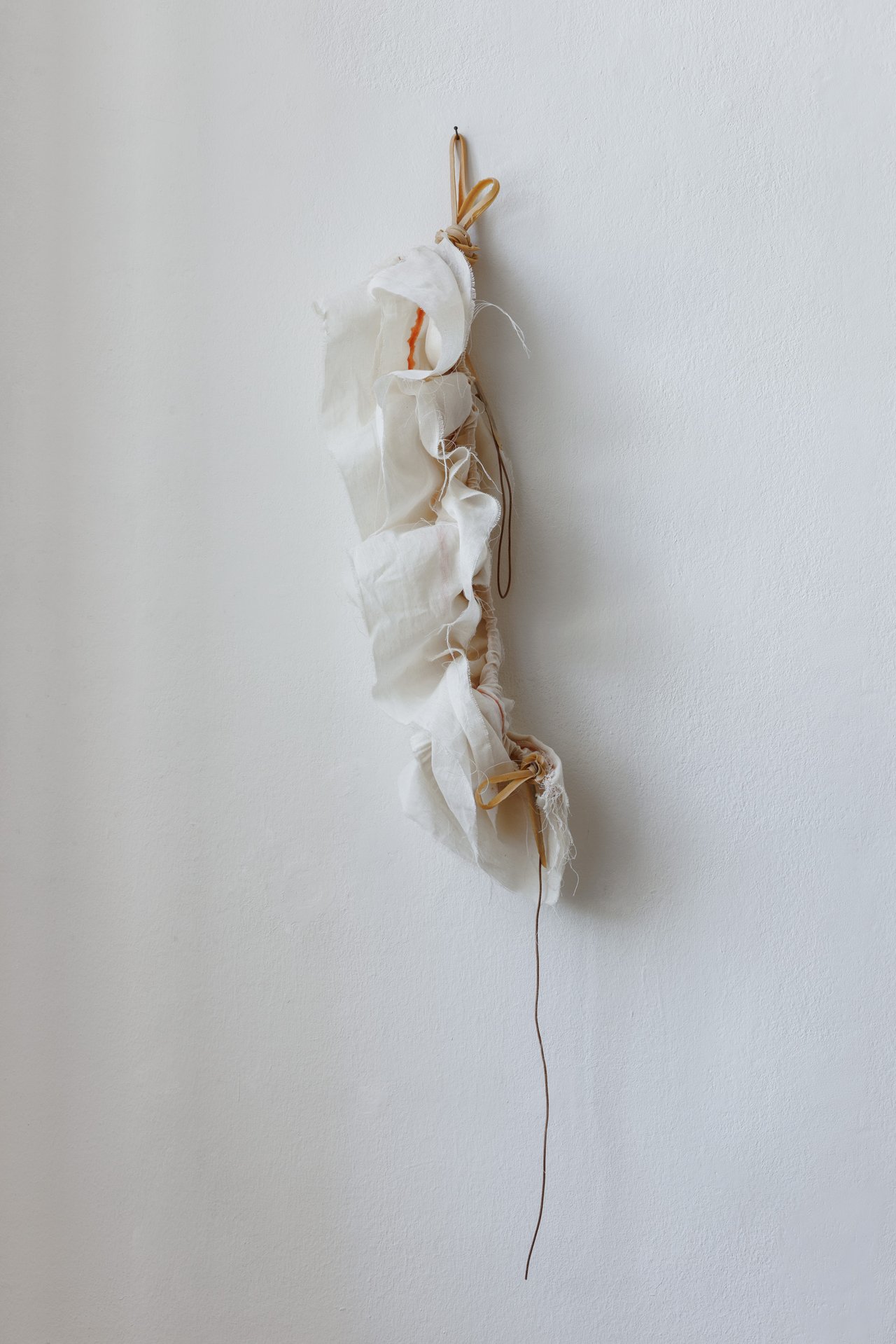 Liesl Raff: Collar 2, 2026