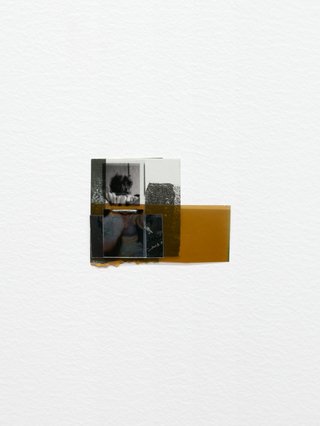 B. Ingrid Olson: Anima, 2011-2024