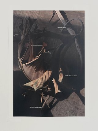 Paul Hutchinson: weißt du noch was, wilted studio leaf, 2025