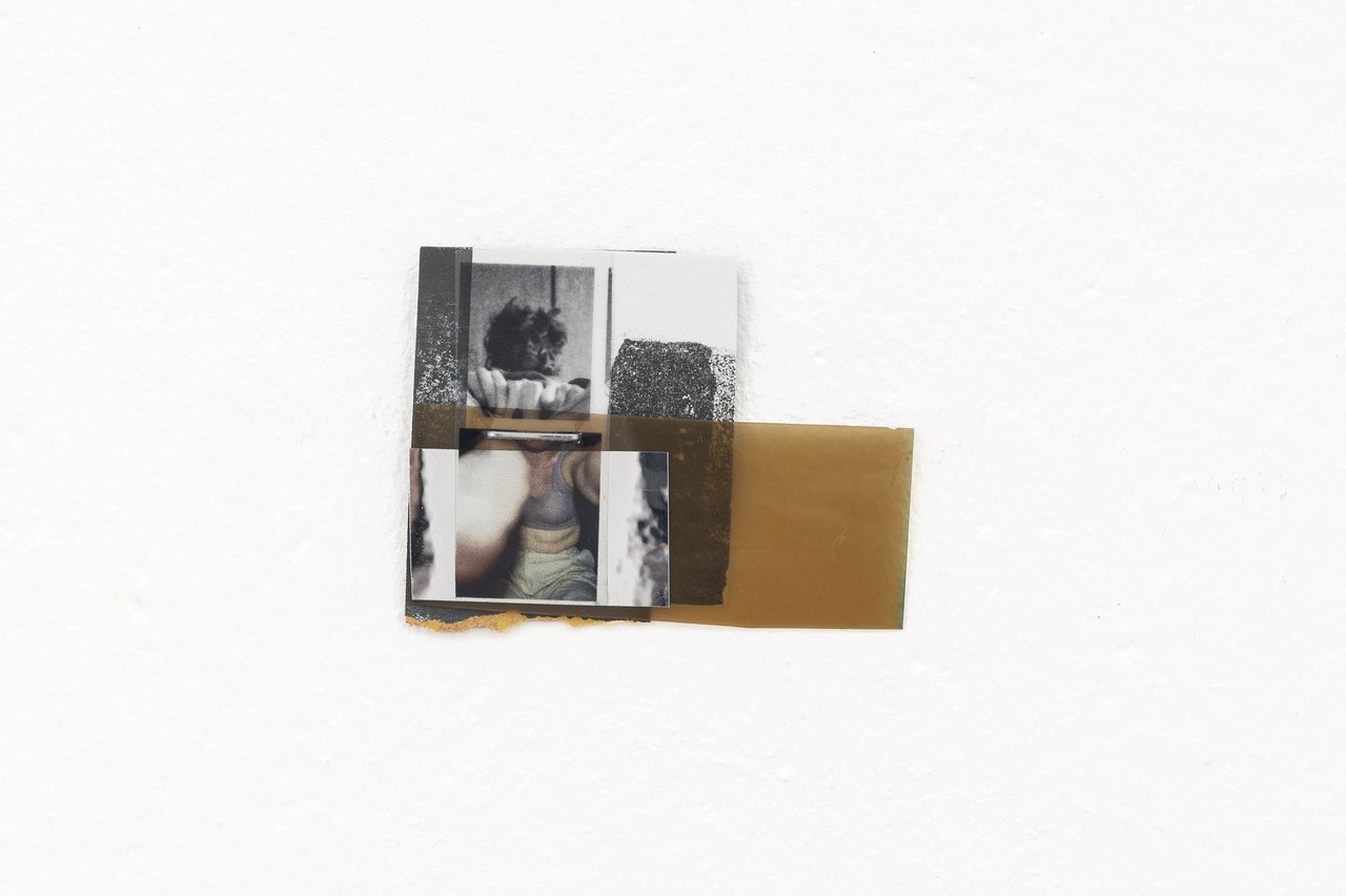 B. Ingrid Olson: Anima, 2011-2024