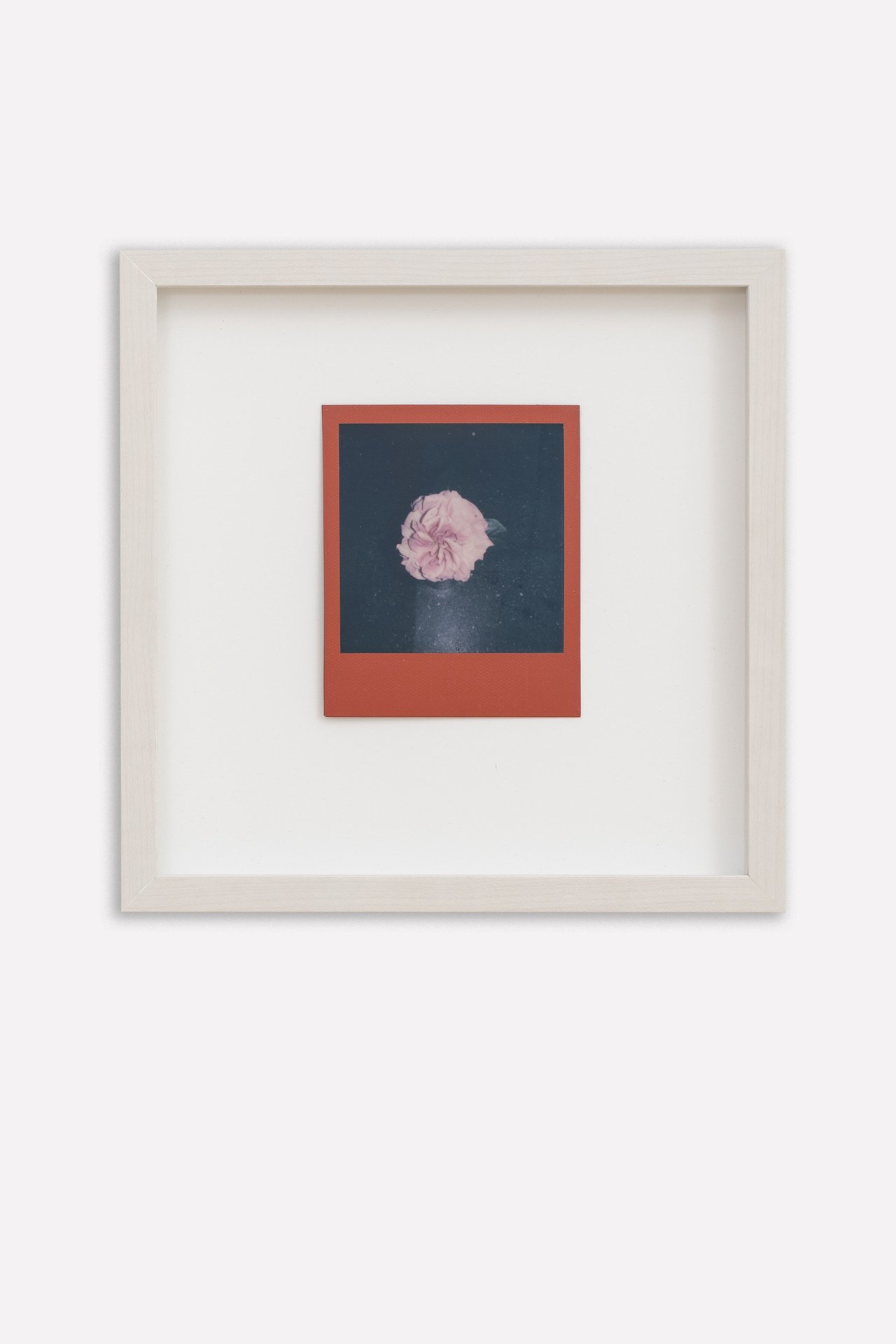 Ketuta Alexi-Meskhishvili: Quarantine Flowers, 2020-2022