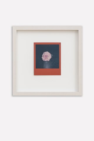 Ketuta Alexi-Meskhishvili: Quarantine Flowers, 2020-2022