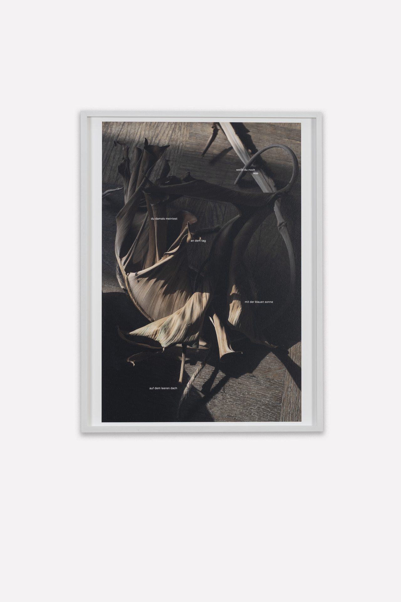 Paul Hutchinson: weißt du noch was, wilted studio leaf, 2025